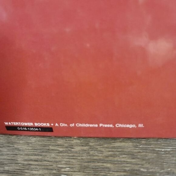 Vintage The Littlest Reindeer Children's Picture Book Watertower Books Chicago - Picture 5 of 15